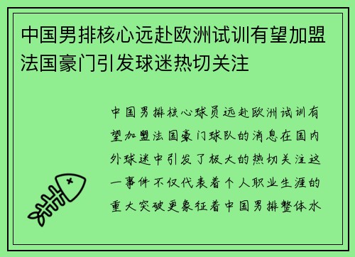 中国男排核心远赴欧洲试训有望加盟法国豪门引发球迷热切关注